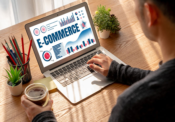SEO Services For Ecommerce Sites-Search Engine Optimization